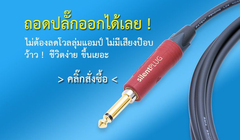 SILENT STUDIO INSTRUMENT - MOGAMI 2524 With NEUTRIK SILENT